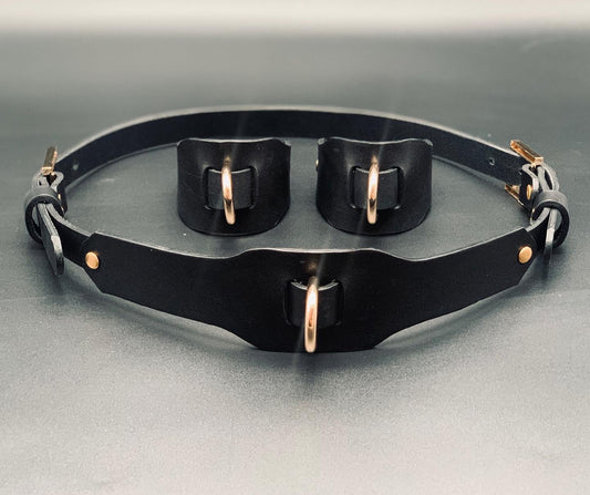 Premium leather lingerie harness, garter belt and choker collar by Metatron