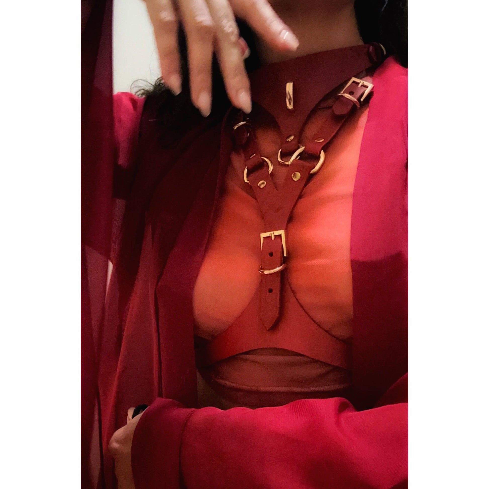 Premium leather lingerie harness, garter belt and choker collar by Metatron