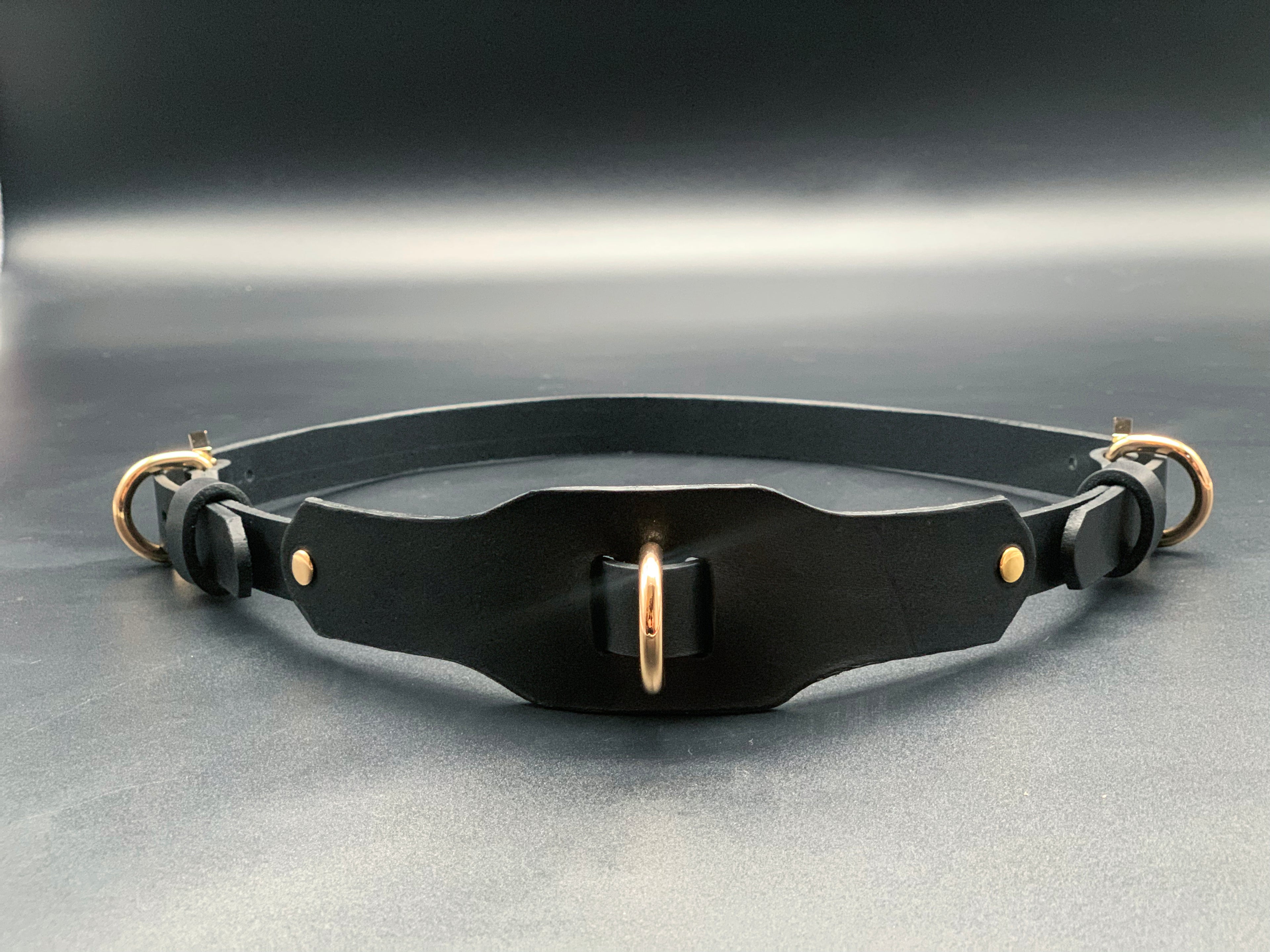 Premium leather lingerie harness, garter belt and choker collar by Metatron