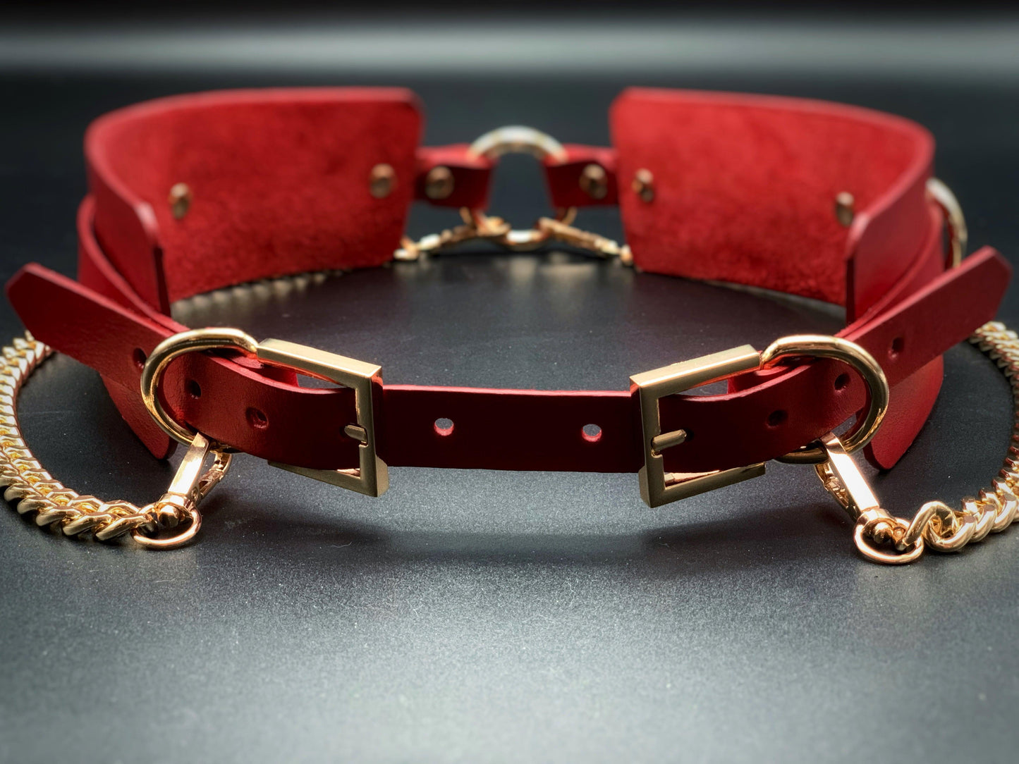 Premium leather lingerie harness, garter belt and choker collar by Metatron
