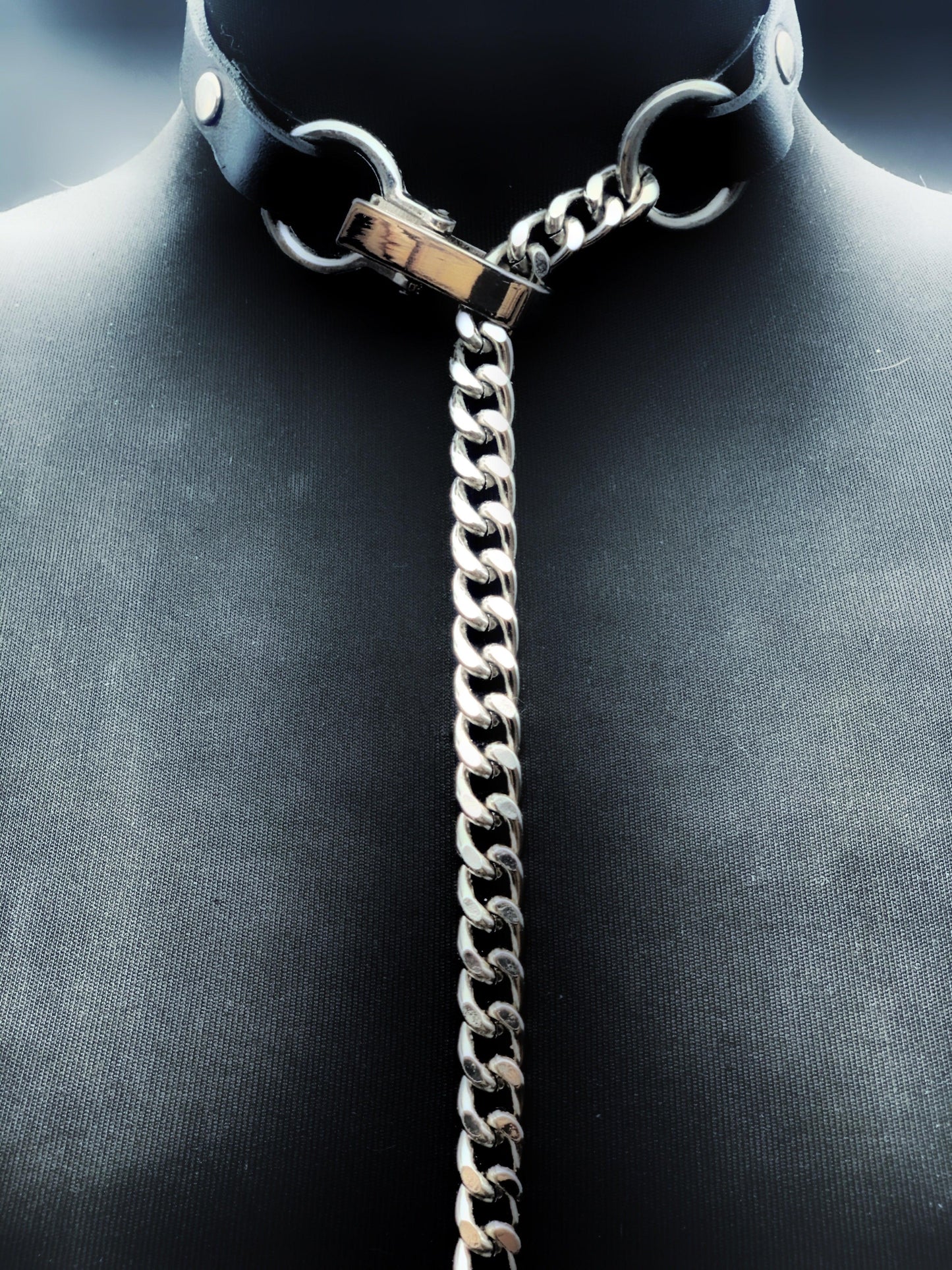collar leash