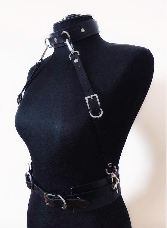 Harness leather set