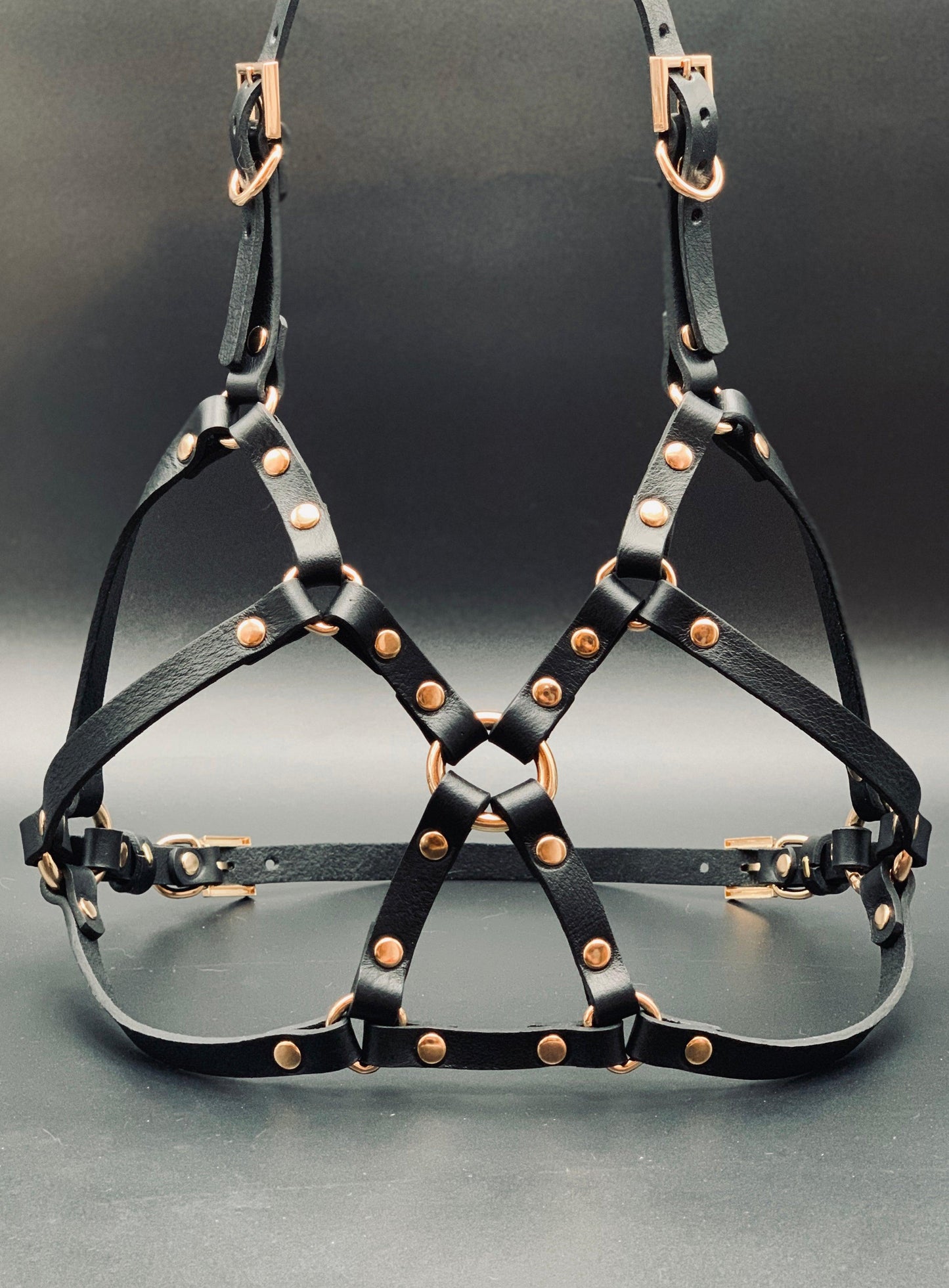 harness bra