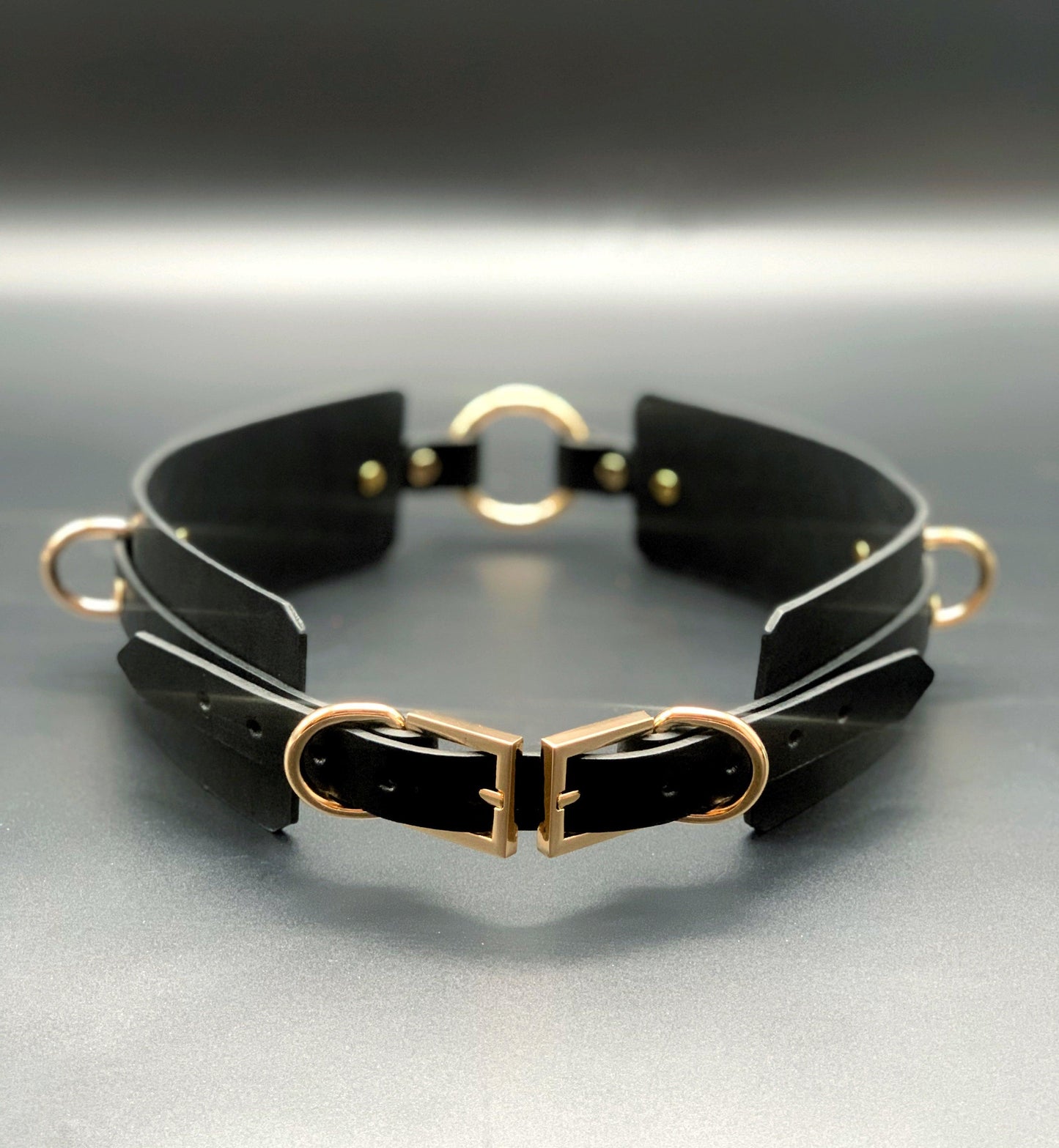 Premium leather lingerie harness, garter belt and choker collar by Metatron