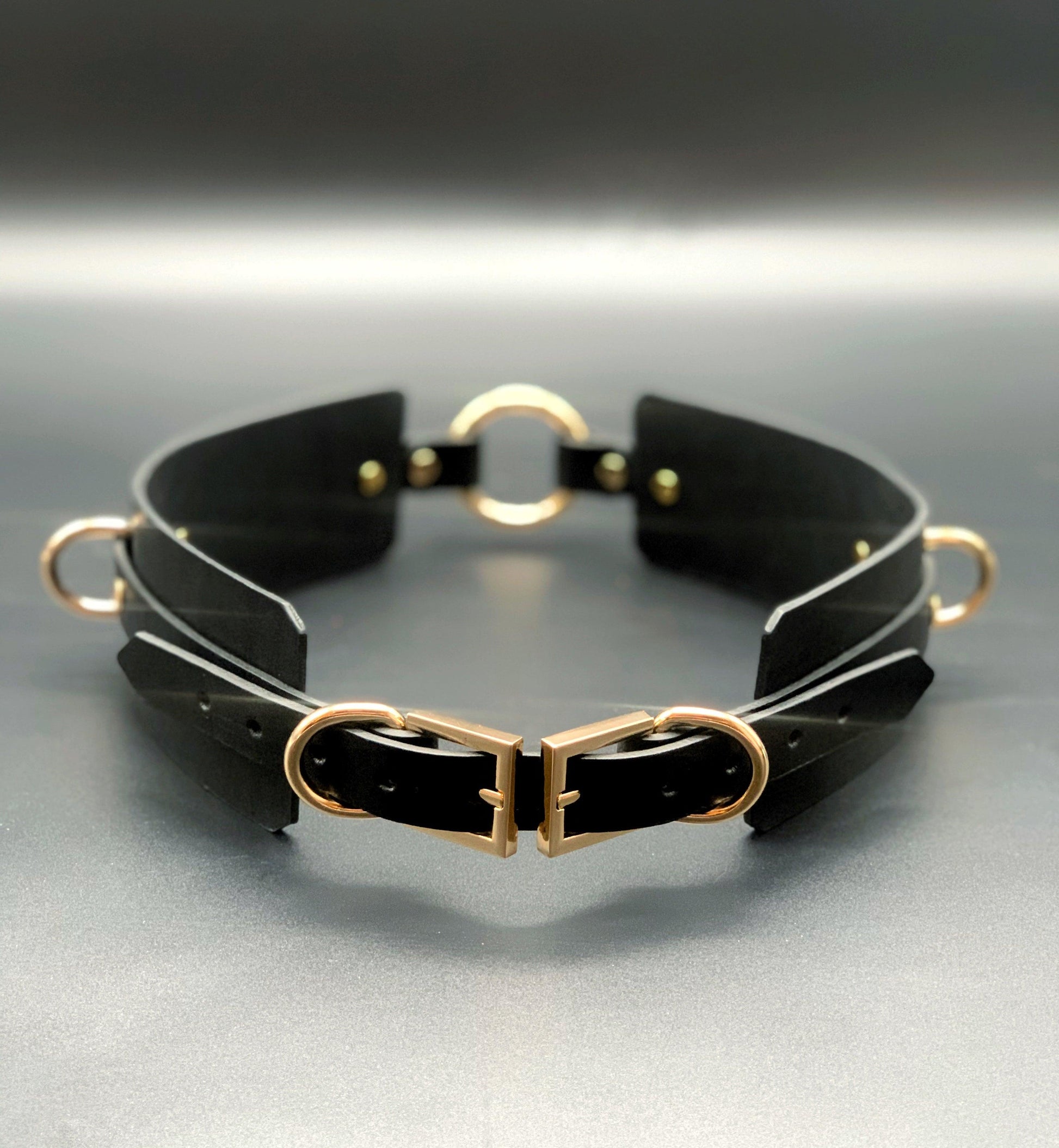 Premium leather lingerie harness, garter belt and choker collar by Metatron