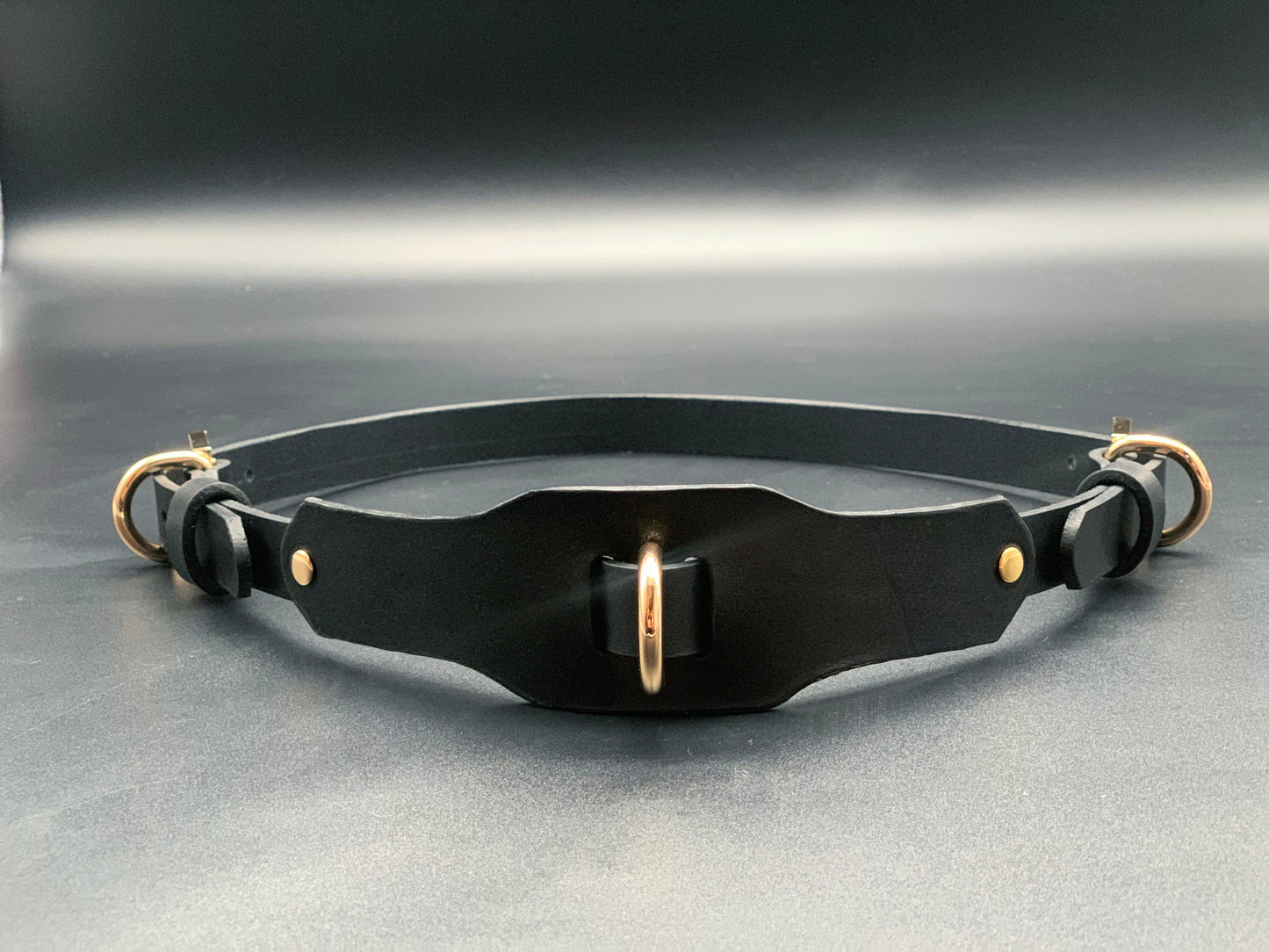 restraint bel Premium leather lingerie harness, garter belt and choker collar by Metatron