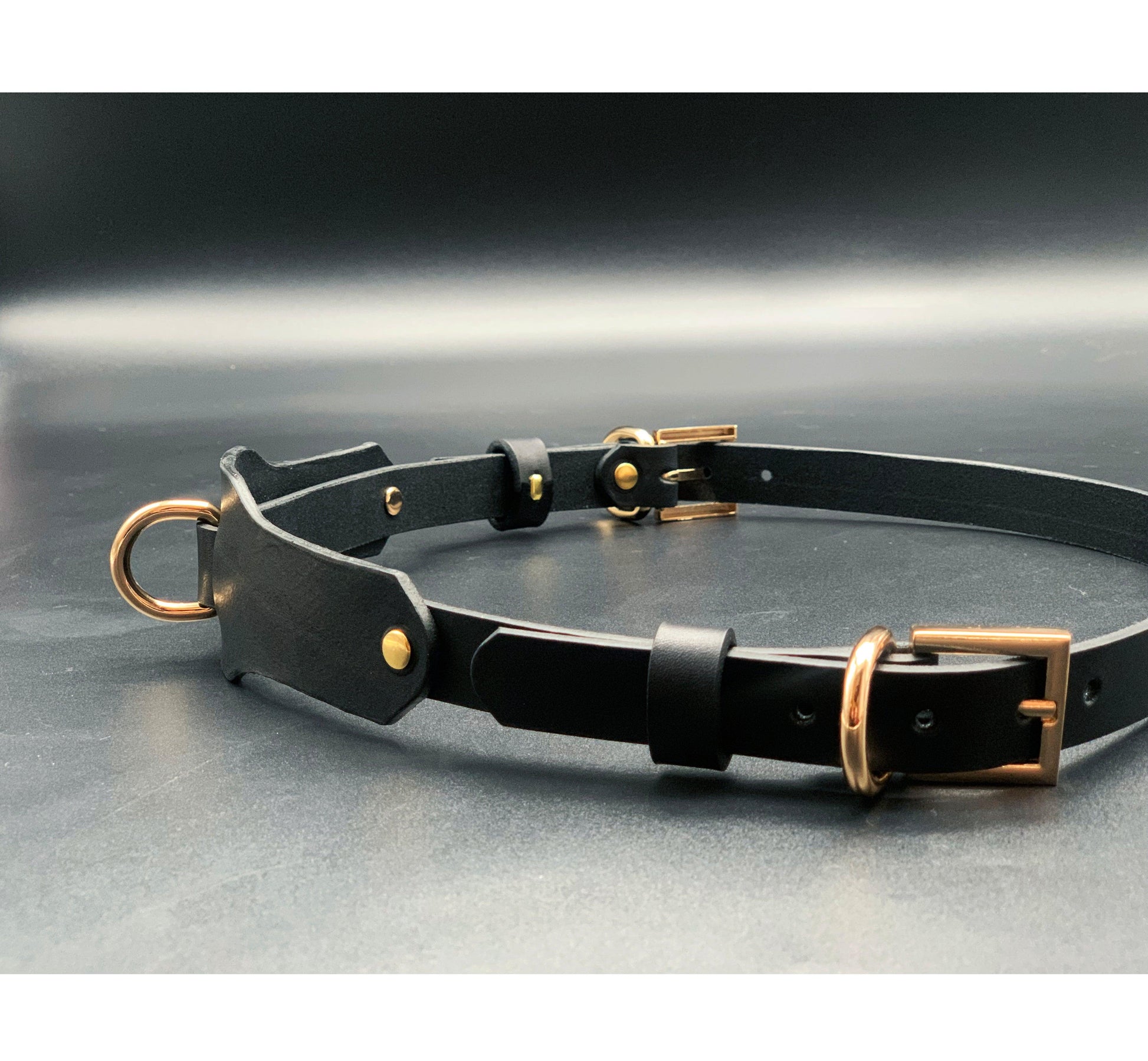 Premium leather lingerie harness, garter belt and choker collar by Metatron