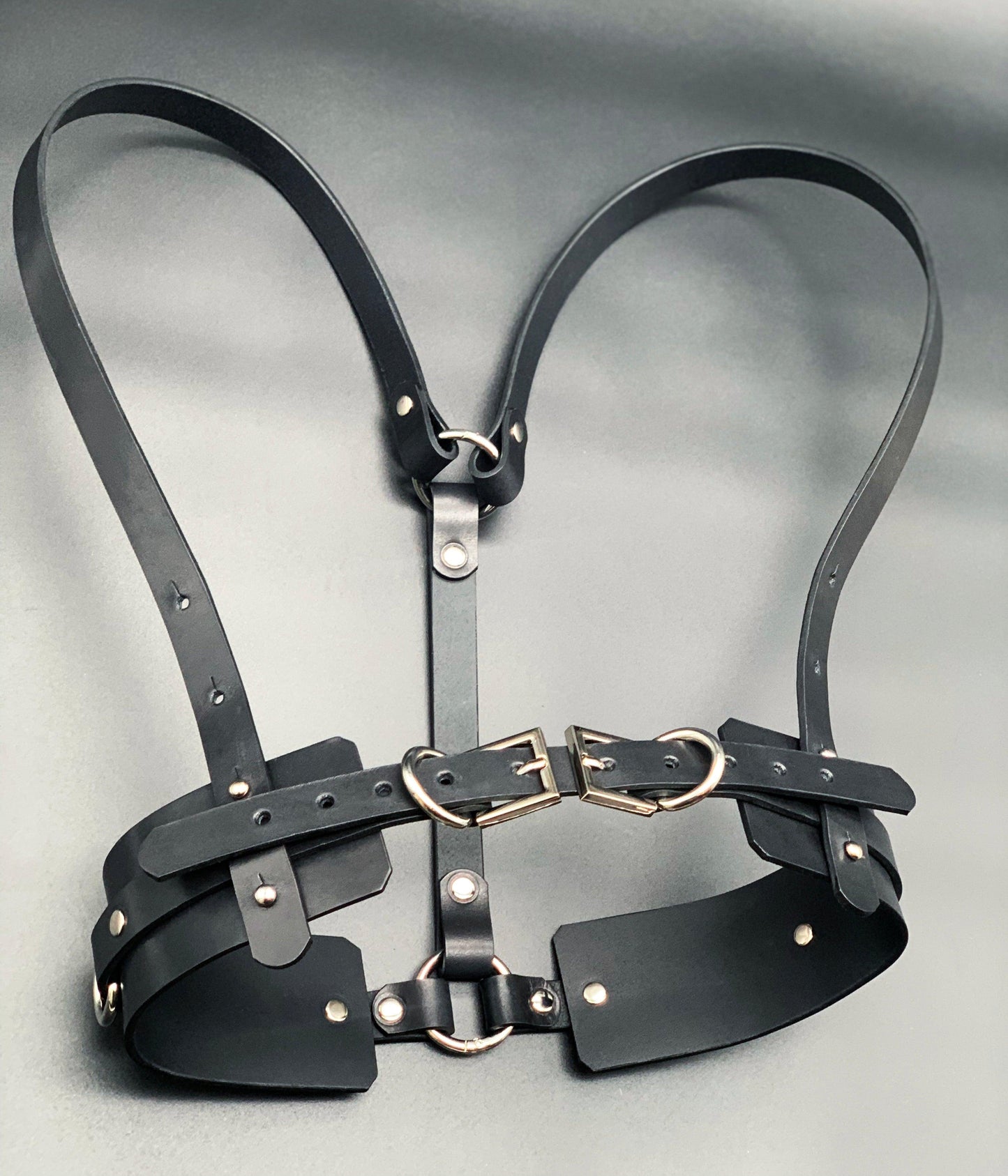 SVETOVIT HARNESS