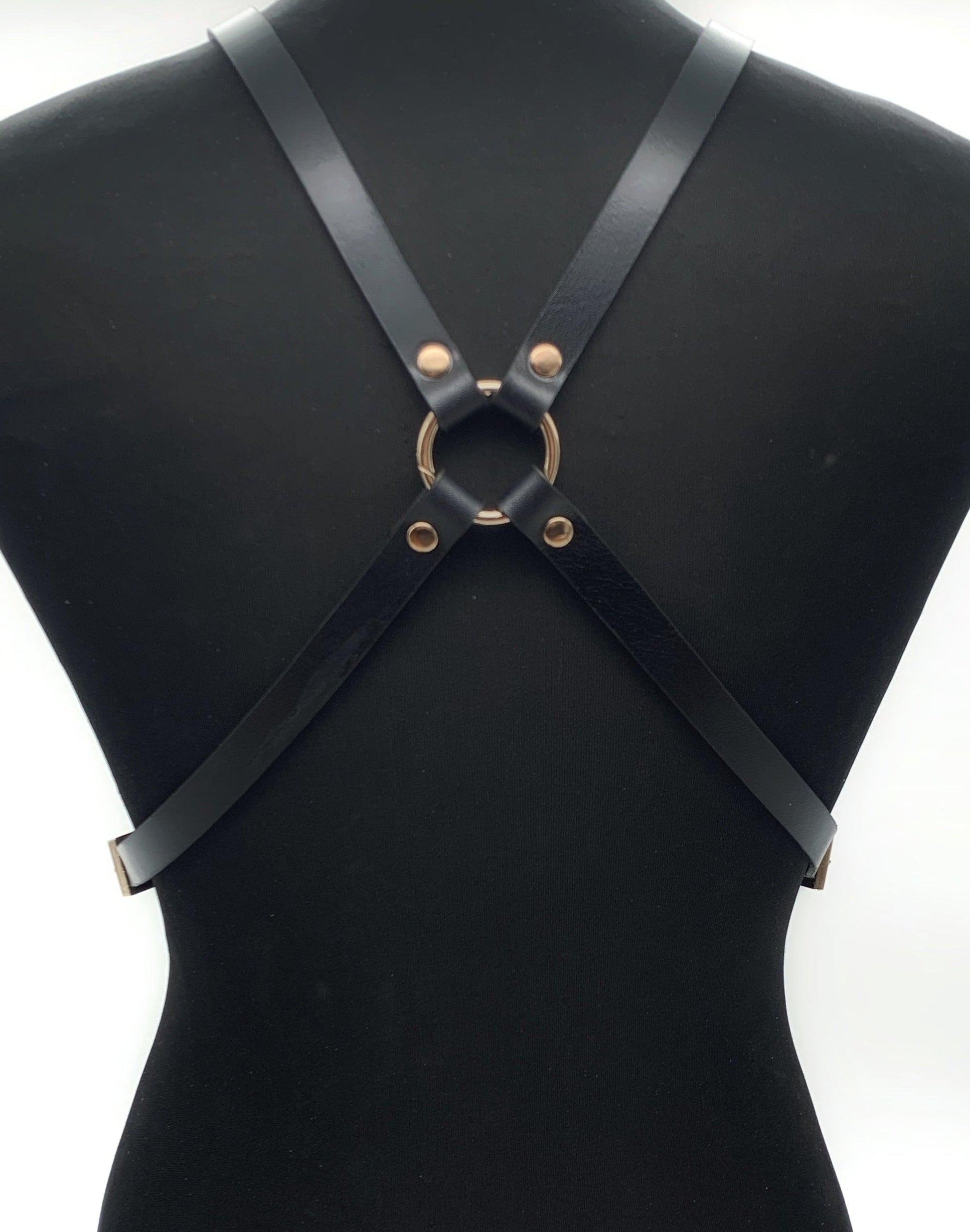 leather harness