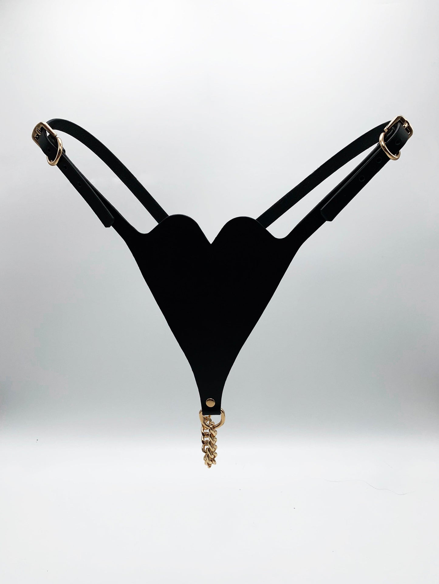Premium leather lingerie harness, garter belt and choker collar by Metatron
