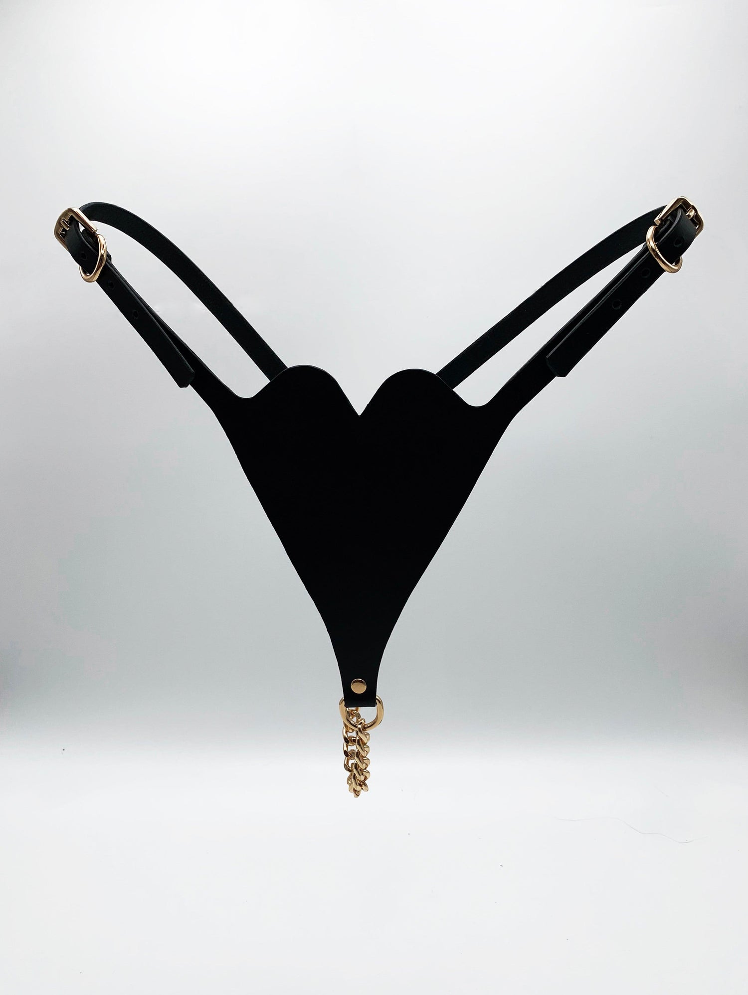 Premium leather lingerie harness, garter belt and choker collar by Metatron