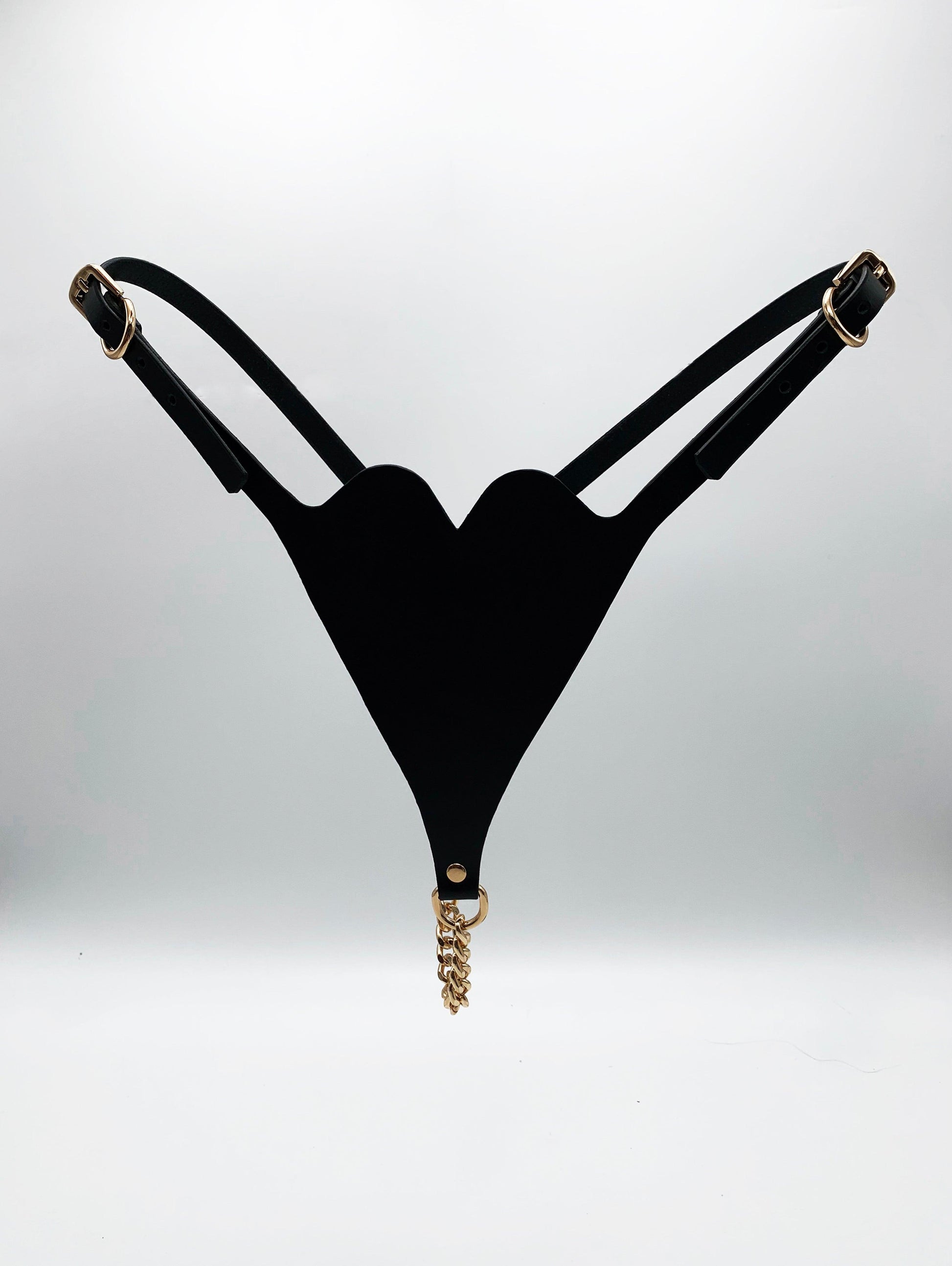 Premium leather lingerie harness, garter belt and choker collar by Metatron