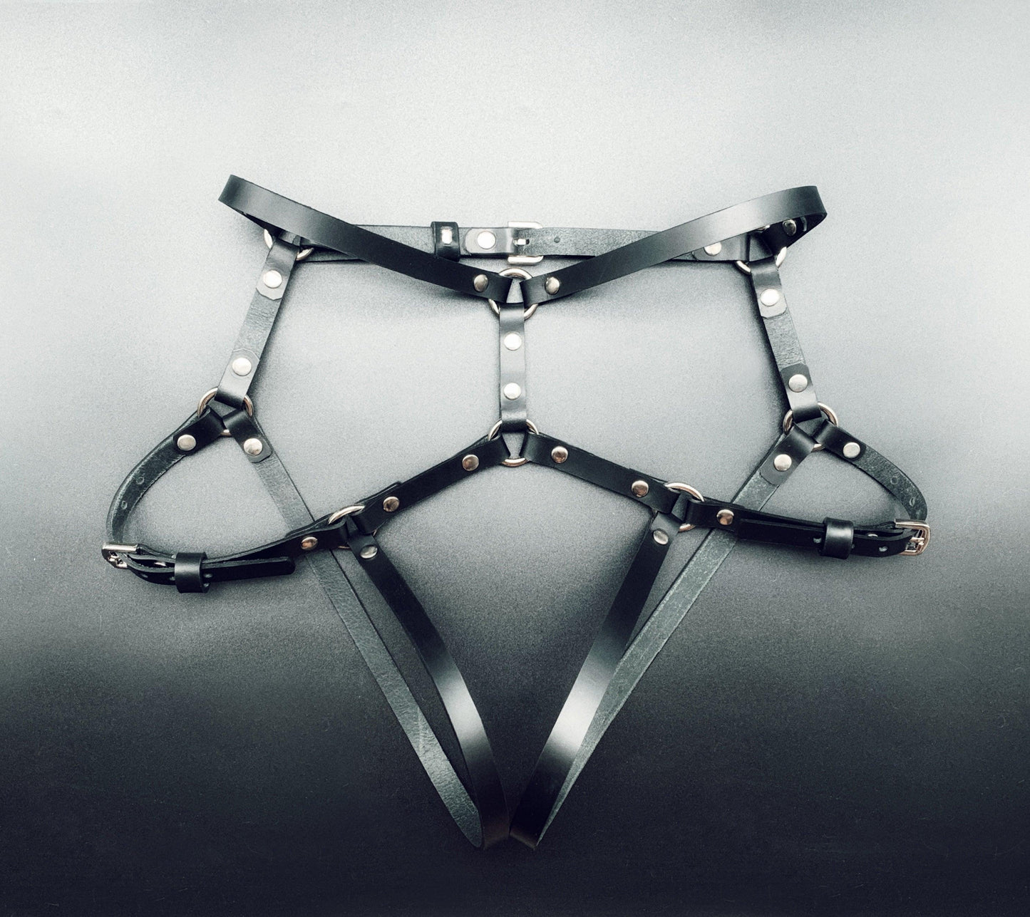 leather harness set