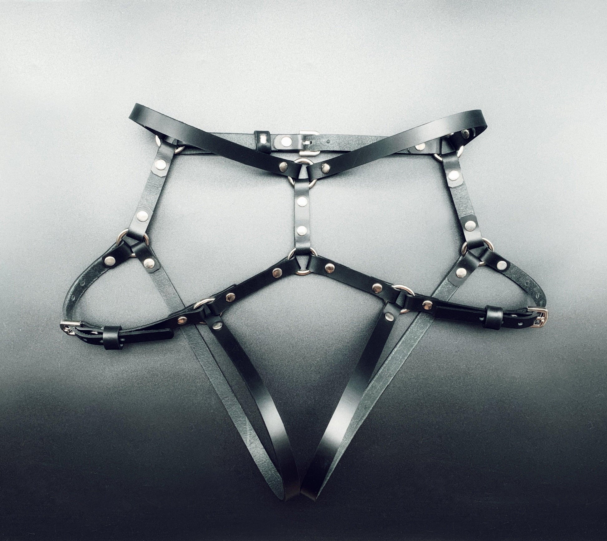 leather harness set
